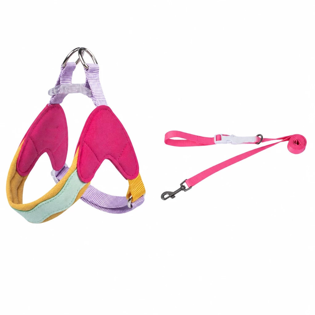 Y-Front Dog Harness with Matching Leash