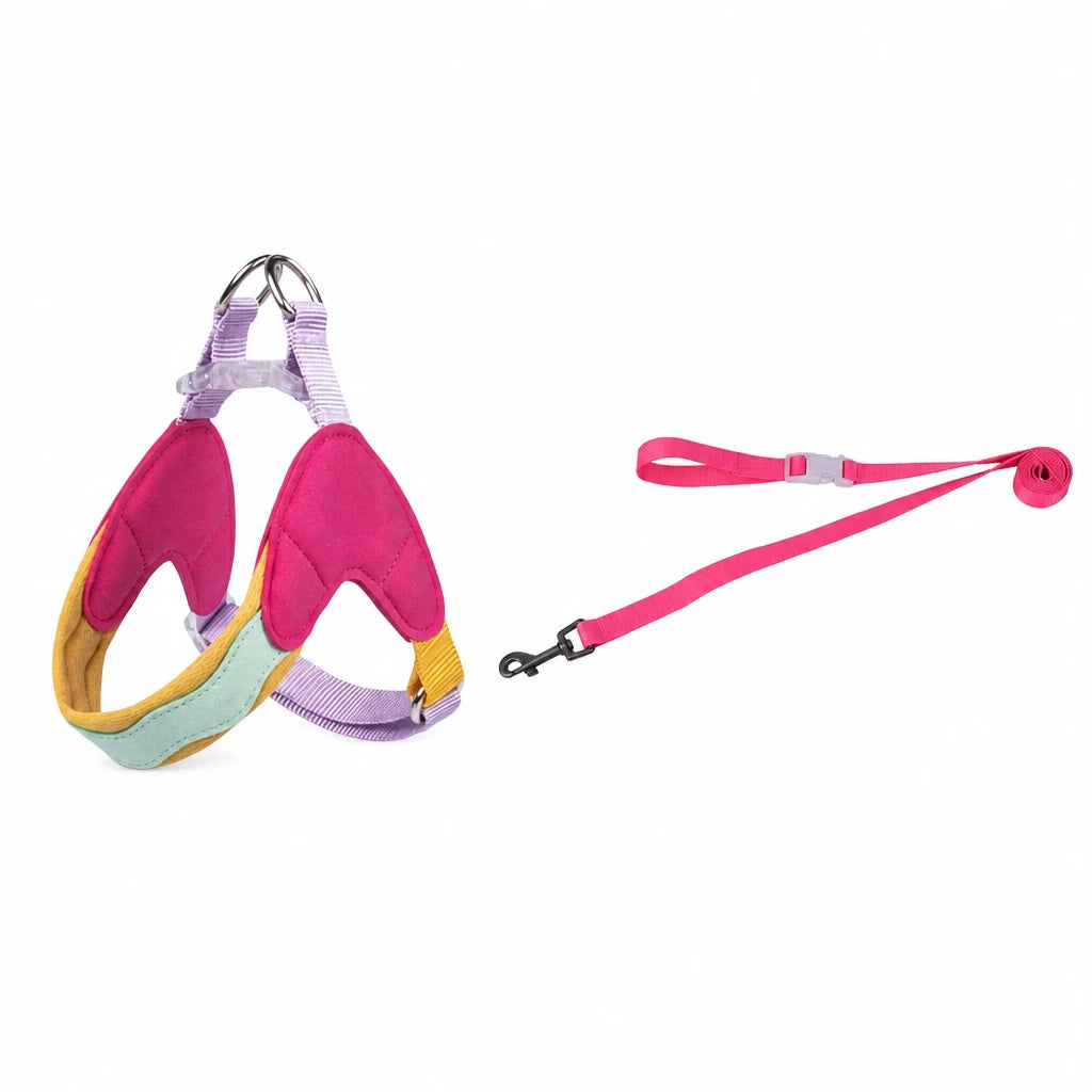 Y-Front Dog Harness with Matching Leash