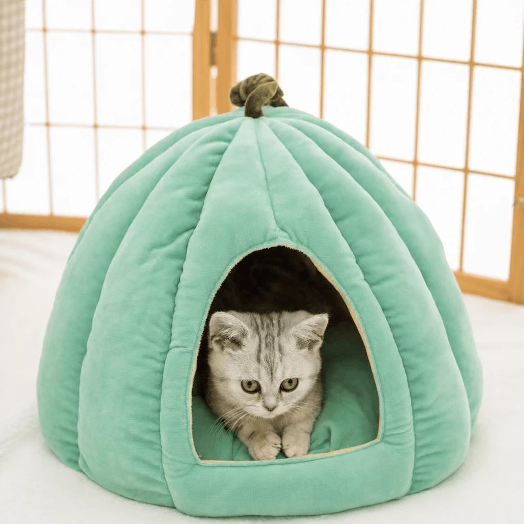 Enclosed Polyester Pet Bed for Cats and Small Dogs