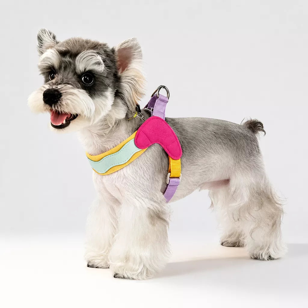 Y-Front Dog Harness with Matching Leash
