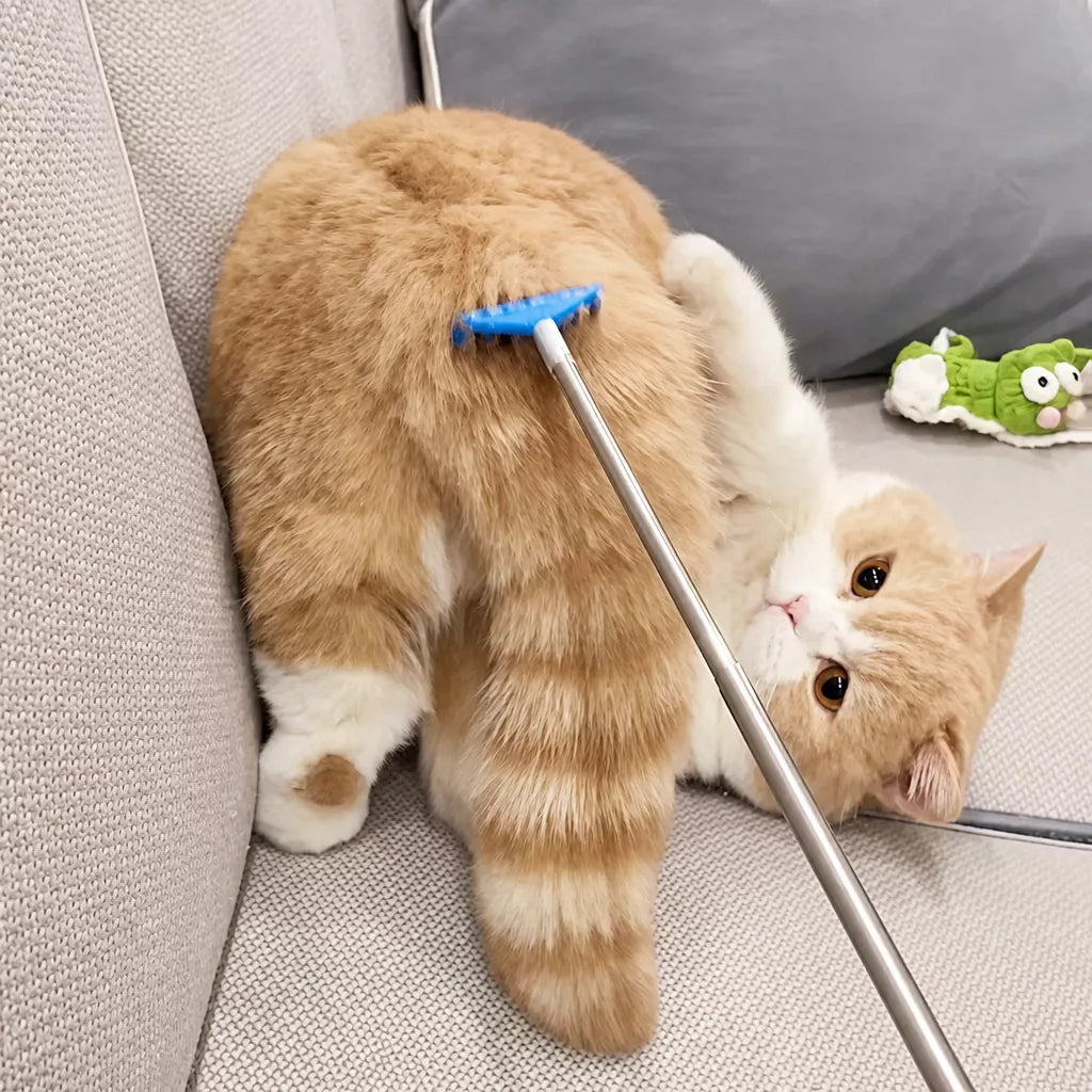 Extendable Pet Scratcher Wand