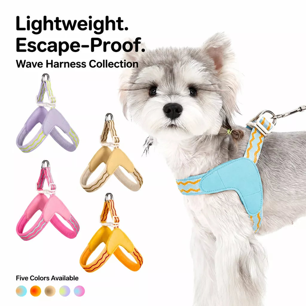 Y-Shaped Dog Harness and Leash for Small to Medium Dogs