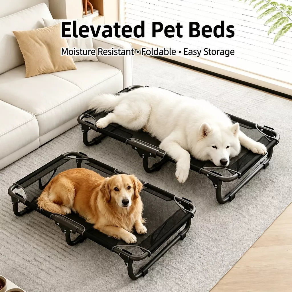 Elevated Foldable Mesh Dog Bed