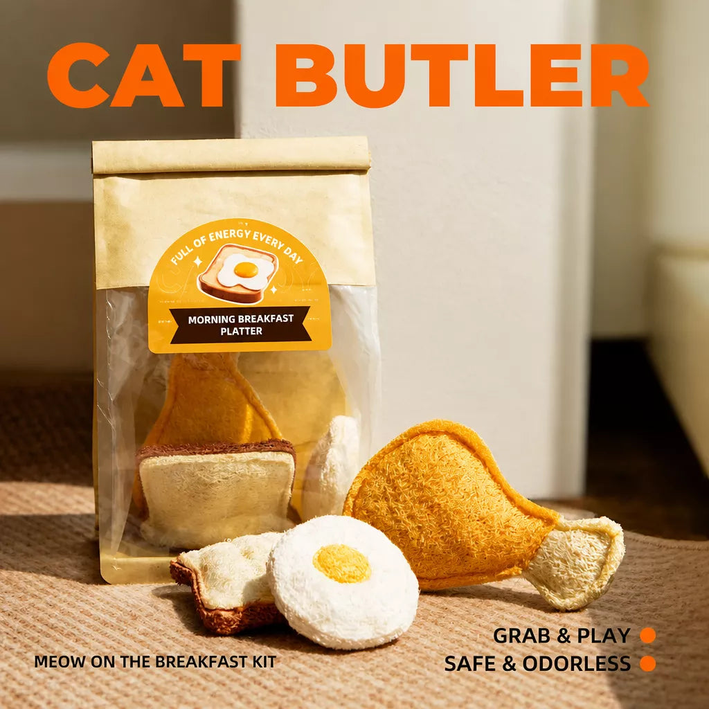 Natural Loofah Cat Toy with Catnip