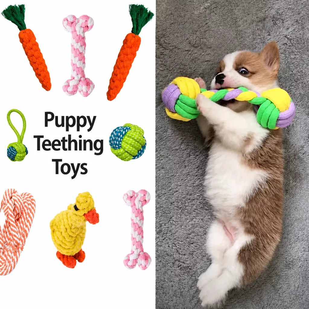 Squeaky Rope Chew Toys for Small and Medium Dogs