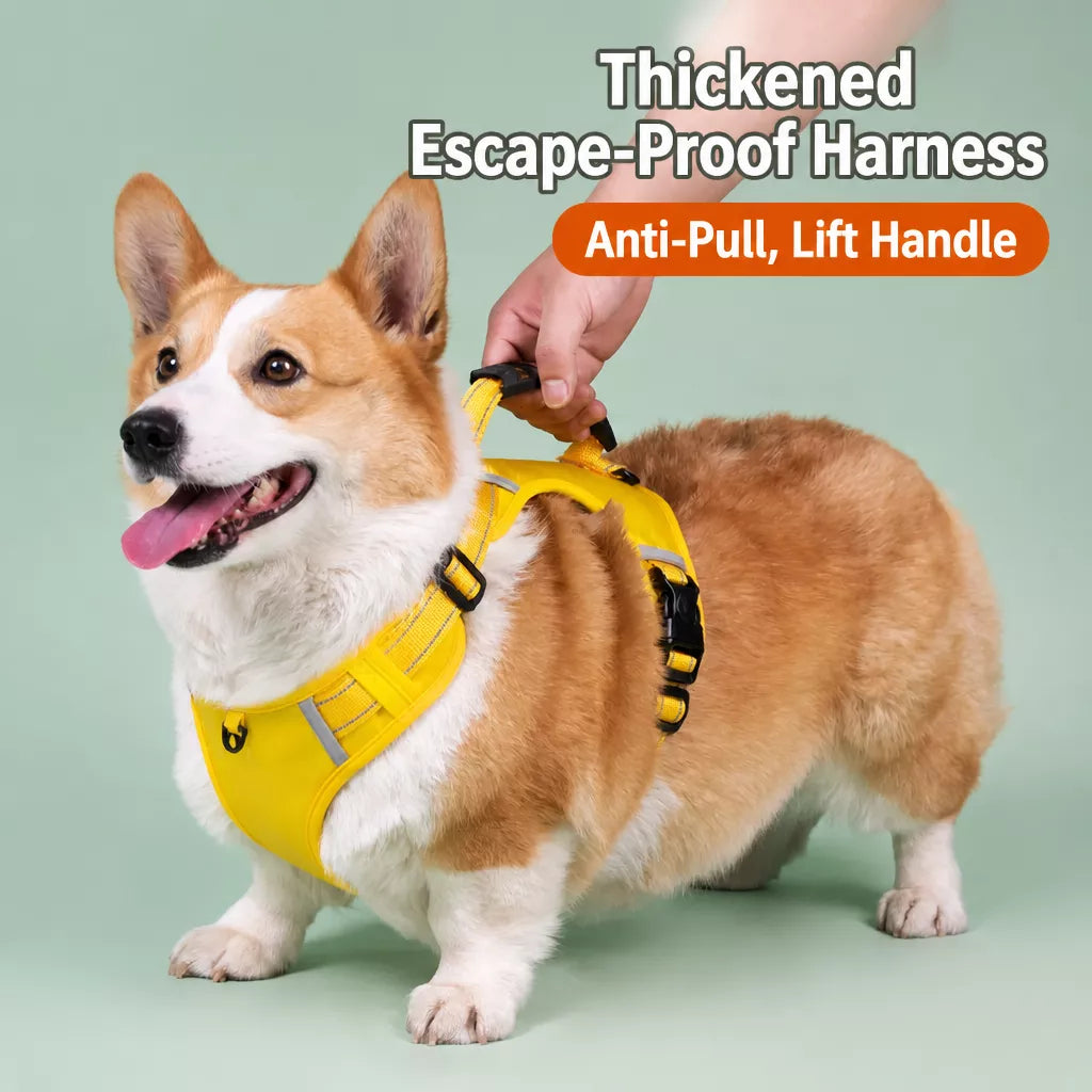 Dog Vest Harness and Leash for Everyday Walks