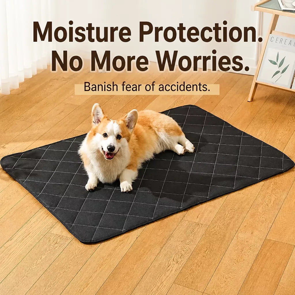 Foam Dog Crate & Floor Mat