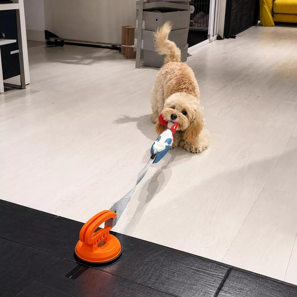 Interactive Dog Tug Toy Collection with Suction Cup