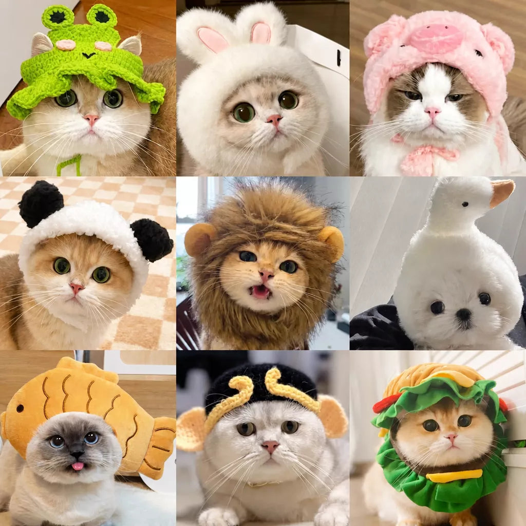 Pet Costume Hats for Dogs and Cats