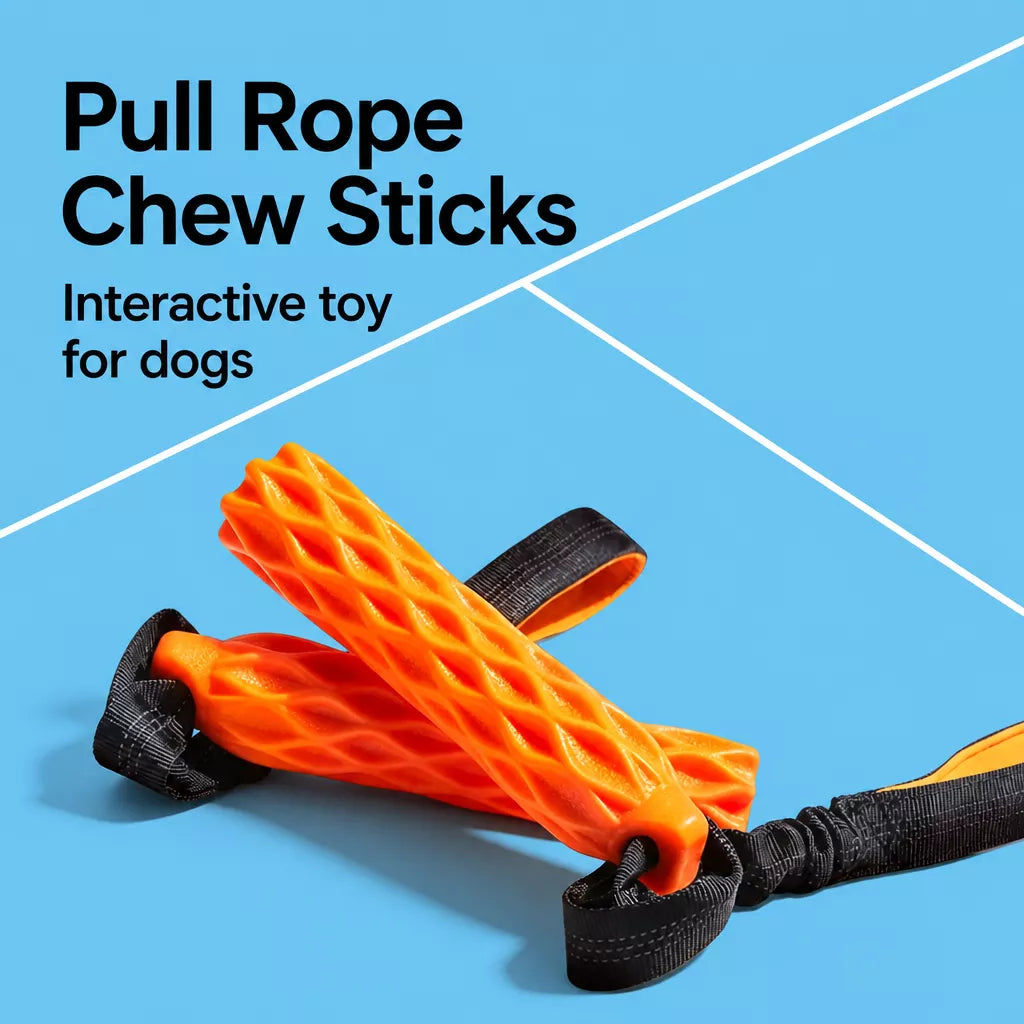 Textured Silicone Squeaky Tug Toy for Dogs