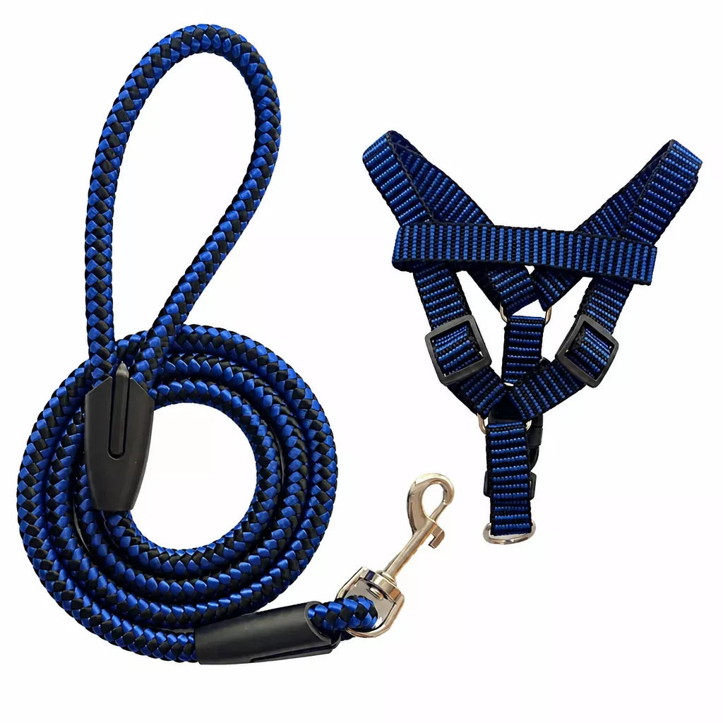 Adjustable Nylon Dog Harness and Leash Set