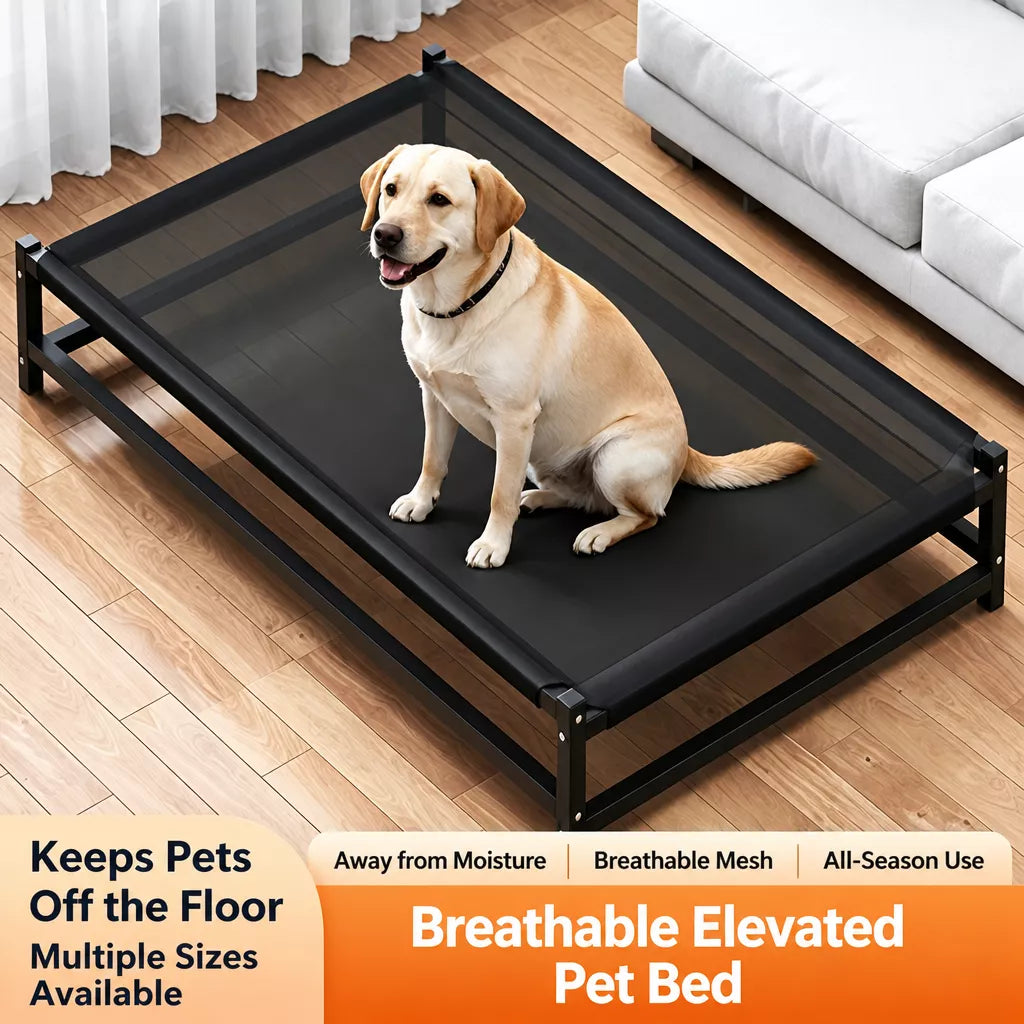 Elevated Pet Cot Bed with Removable Washable Nylon Cover