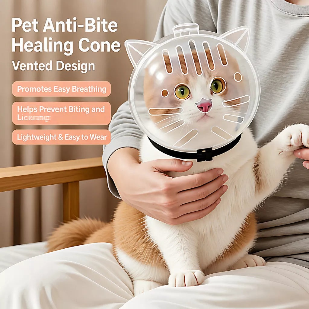 Clear Plastic Cat Elizabethan Collar