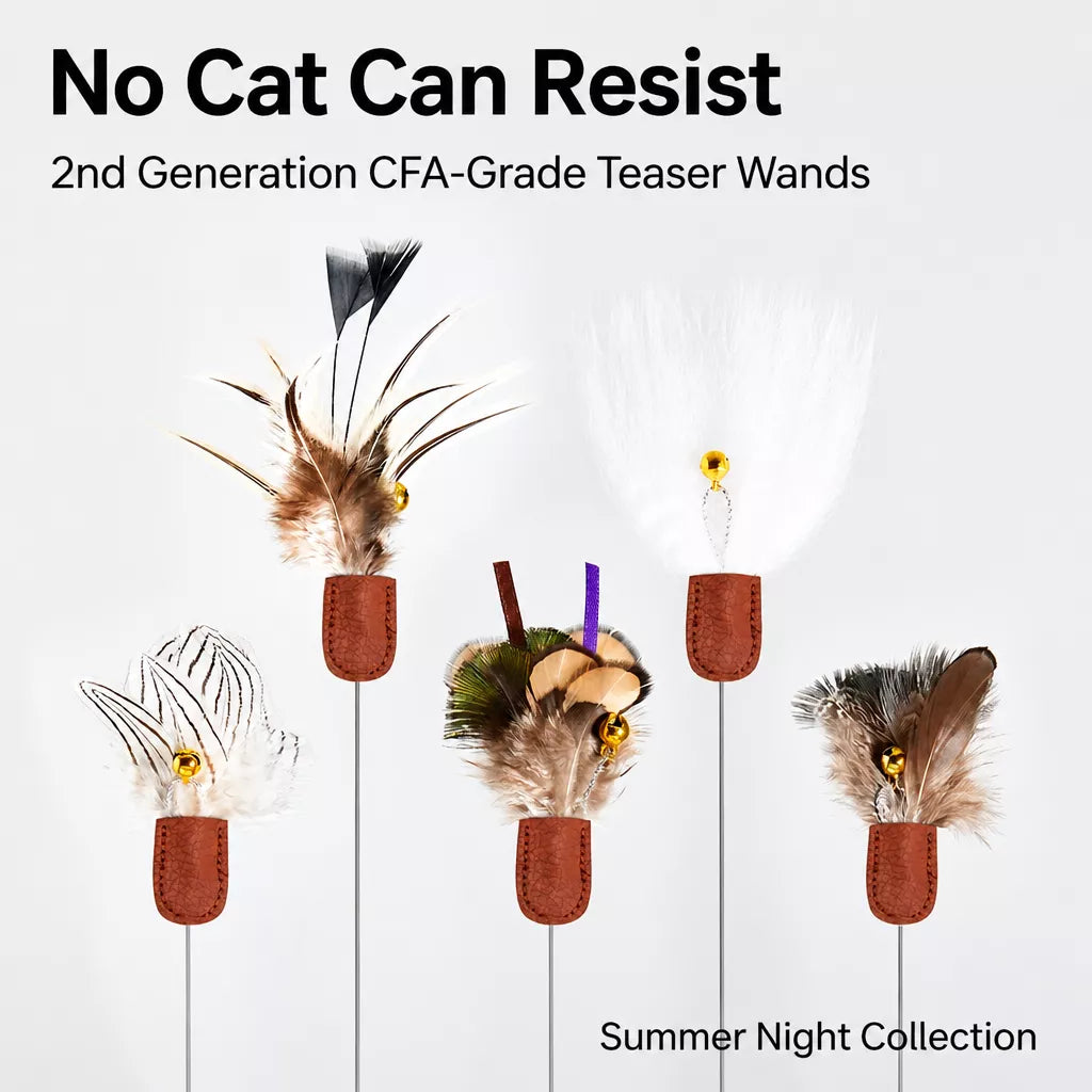Retractable Cat Teaser Wand with Interchangeable Feather & Plush Heads