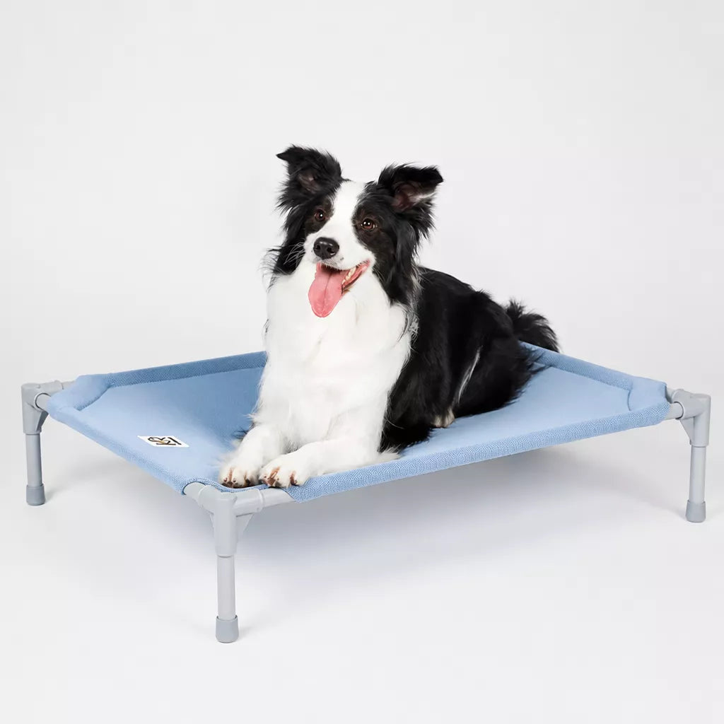 Elevated Dog Bed with Steel Frame and Breathable Fabric
