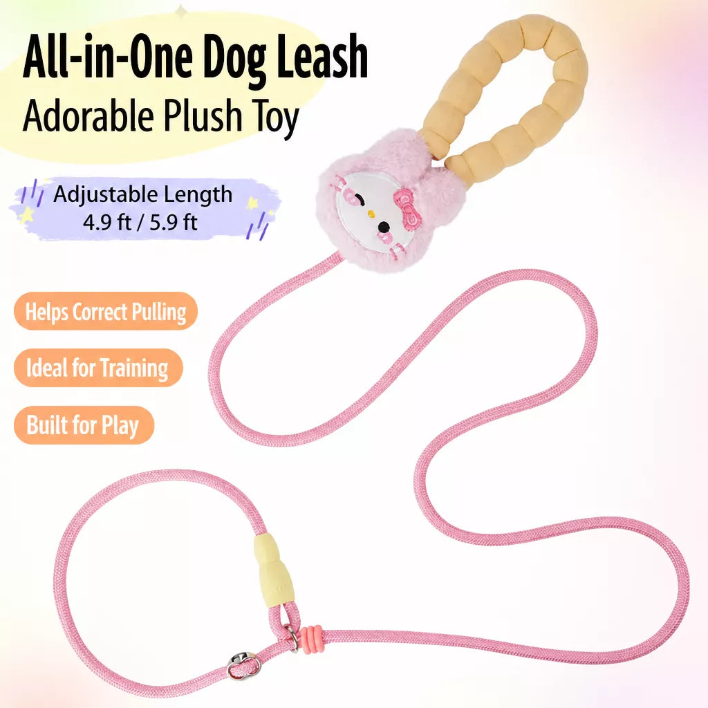 Nylon Slip Lead Dog Leash with Comfort Grip for Training