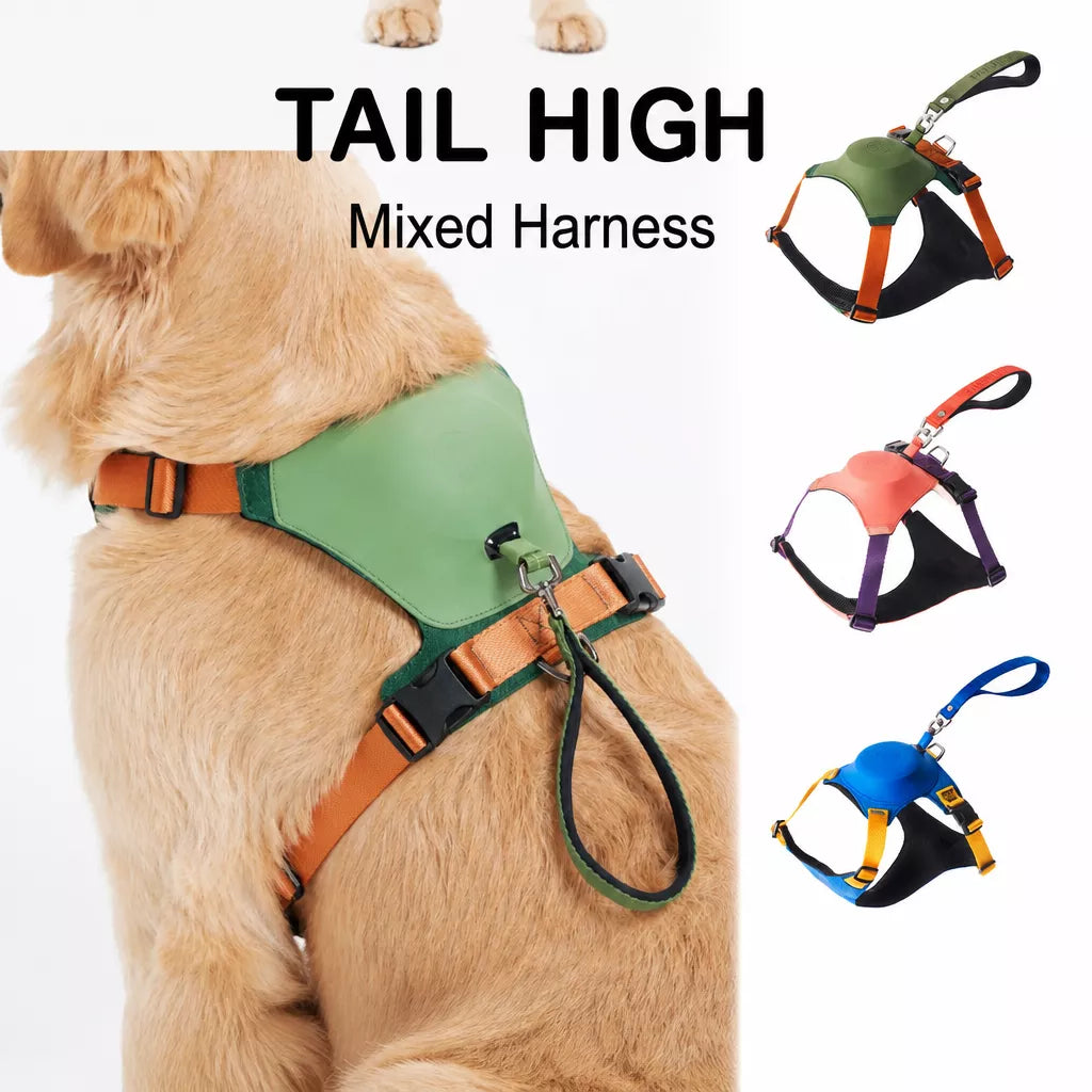 Nylon Dog Harness and Leash Set