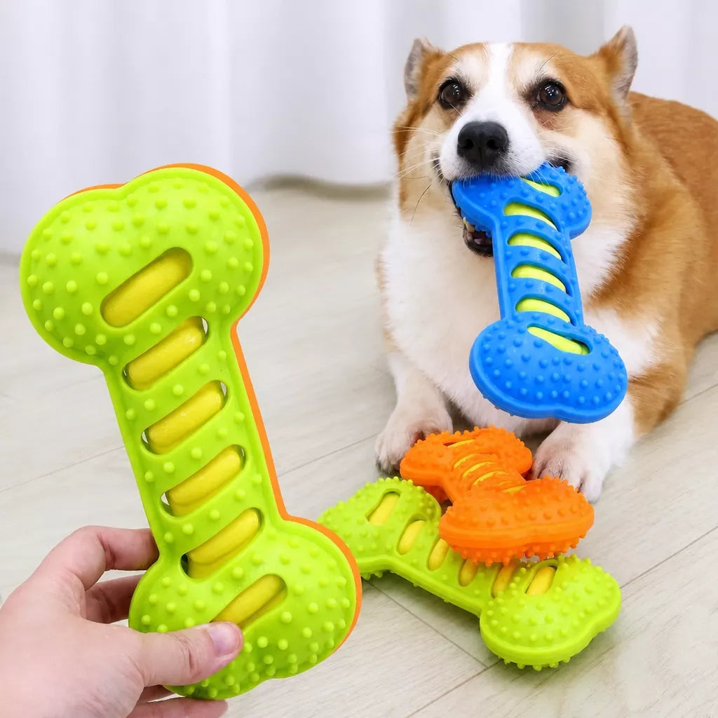 Double-Layer Squeaky Bone Toy for Large Dogs