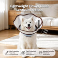 Plastic Recovery Cone for Dogs