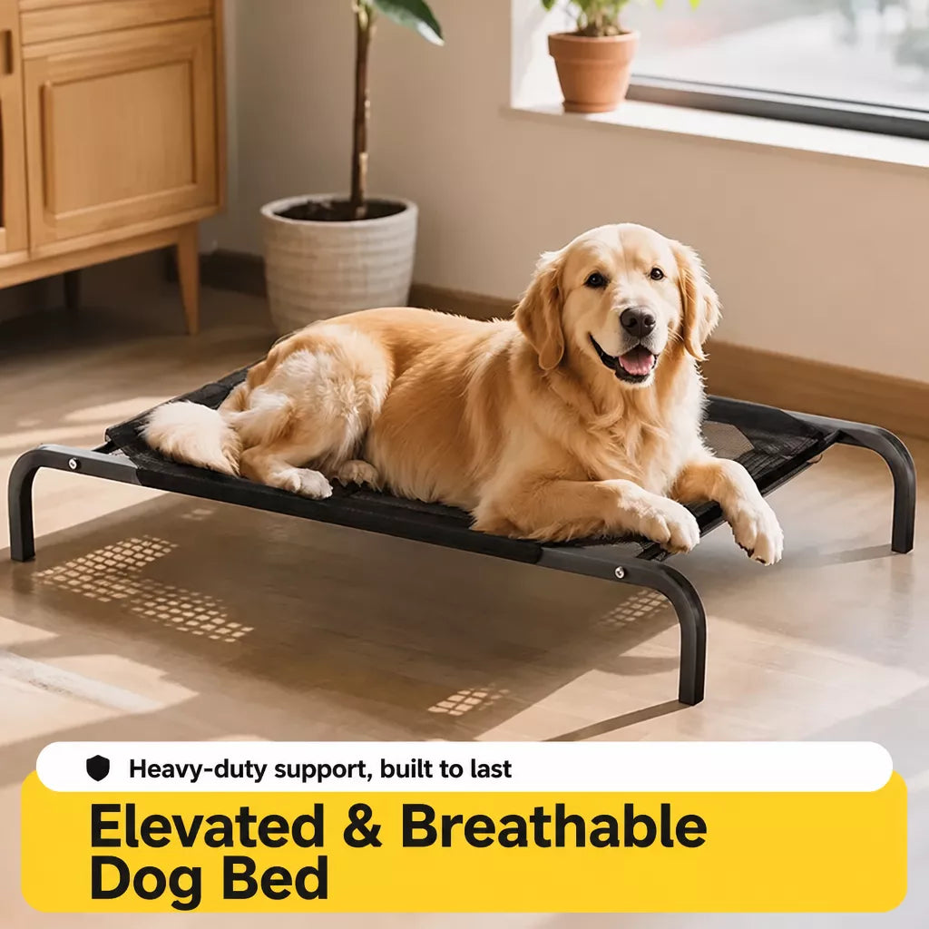 Elevated Mesh Dog Bed with Metal Frame