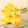 Plush Squeaky Pet Toy for Dogs and Cats – Assorted Animal Designs