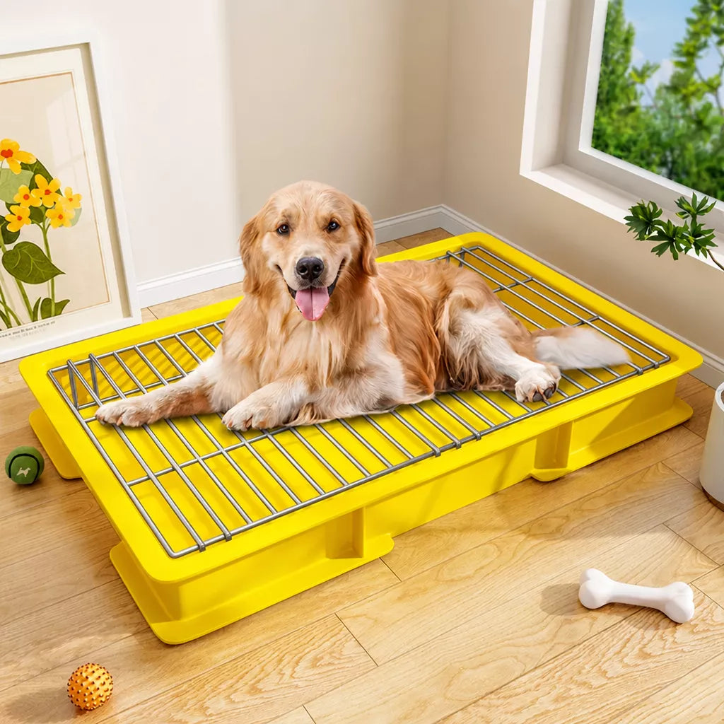 Dog Potty Training Tray with Grate for Small to Large Dogs