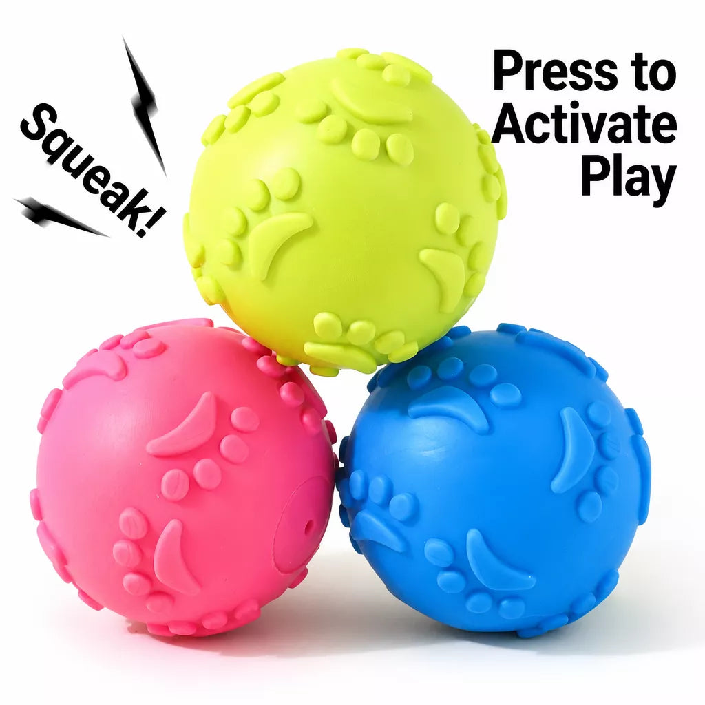 TPR Paw Print Squeaky Ball Dog Toy for Interactive Play