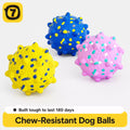 E-TPU Dog Ball Toy for Chewing and Play