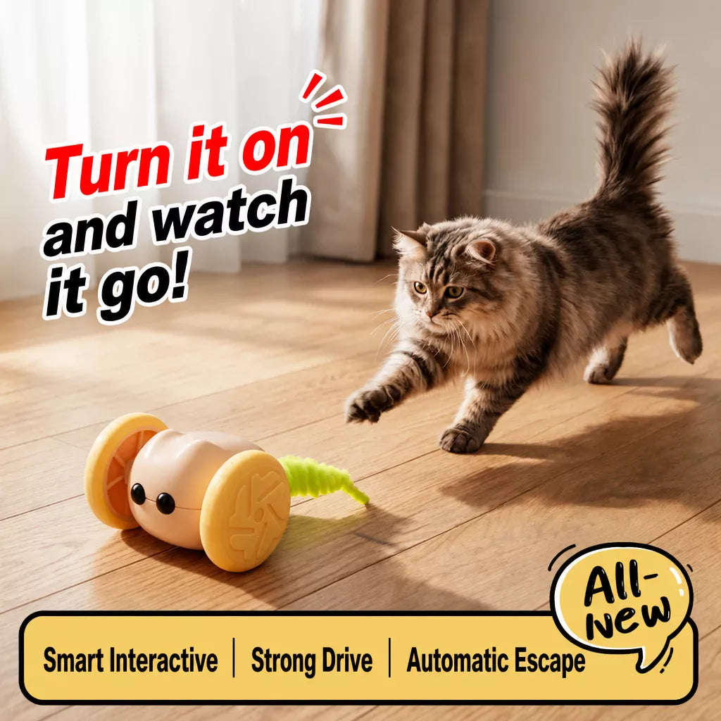 Rechargeable Interactive Cat Toy – Mouse & Car Designs