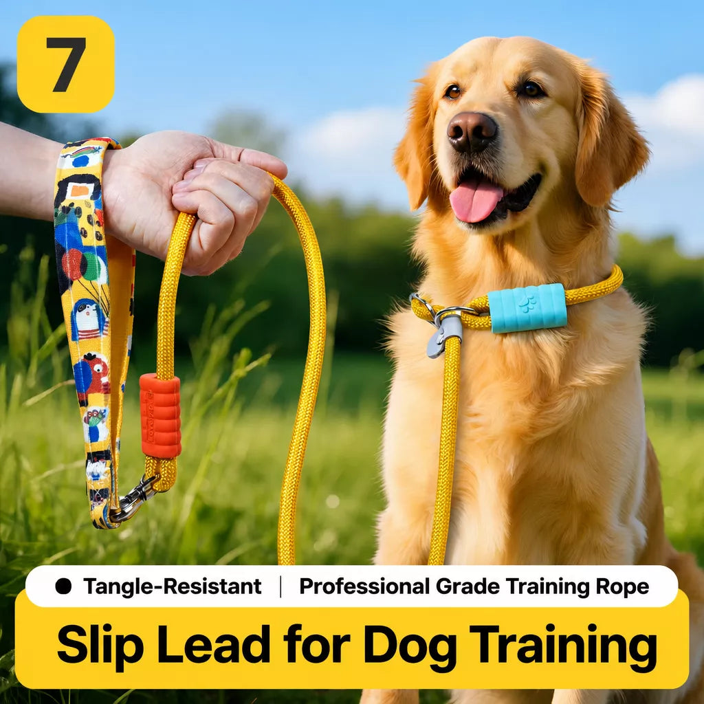 Nylon Dog Leash