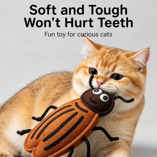 Catnip Insect Toys with Bells for Cats