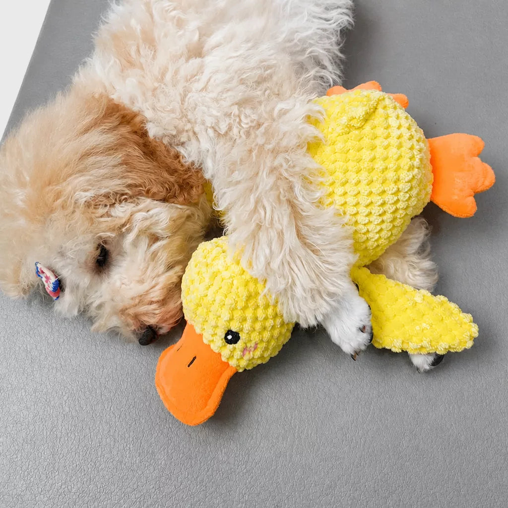 Plush Squeaky Dog Toy