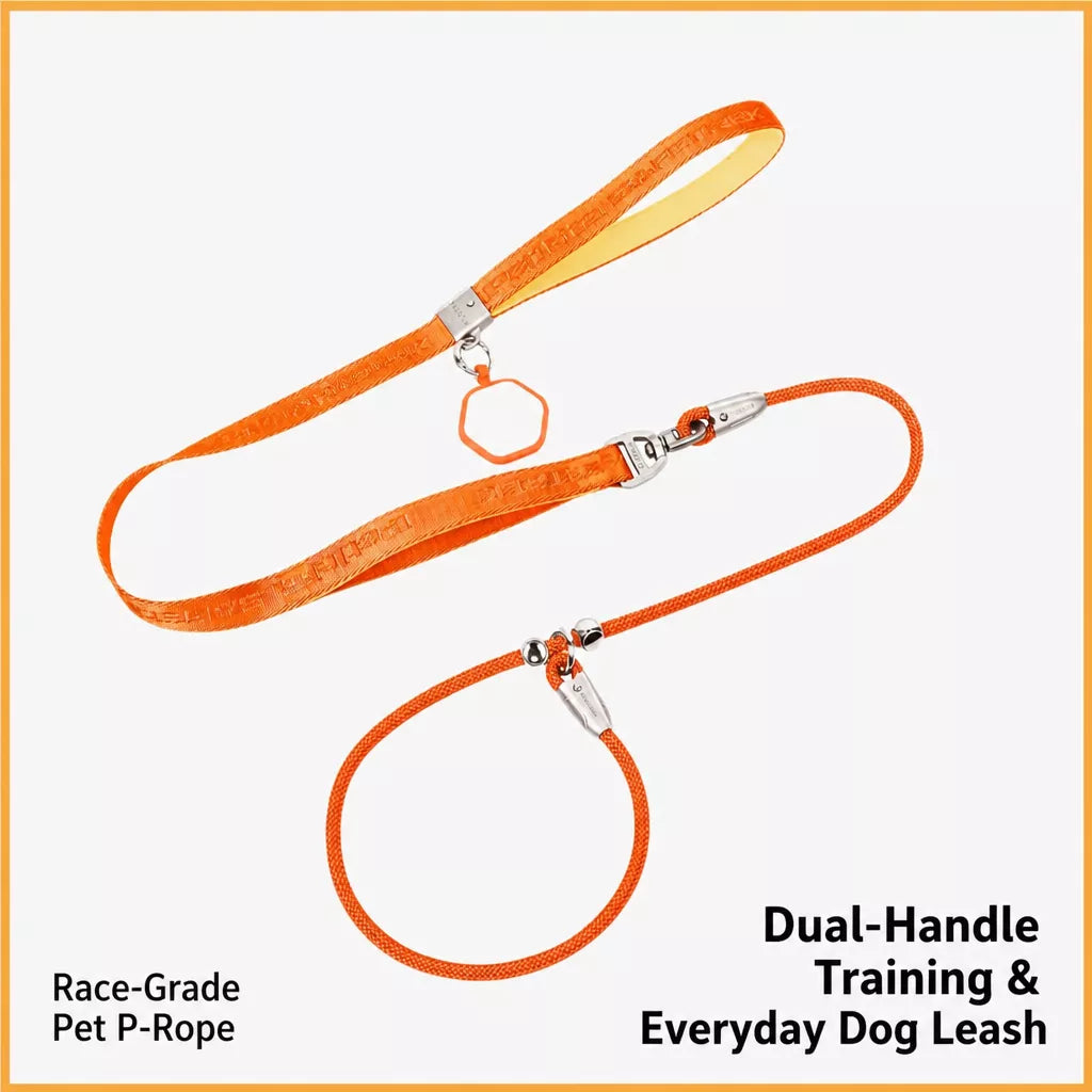 Integrated Slip Lead Dog Leash with Close-Control Handle