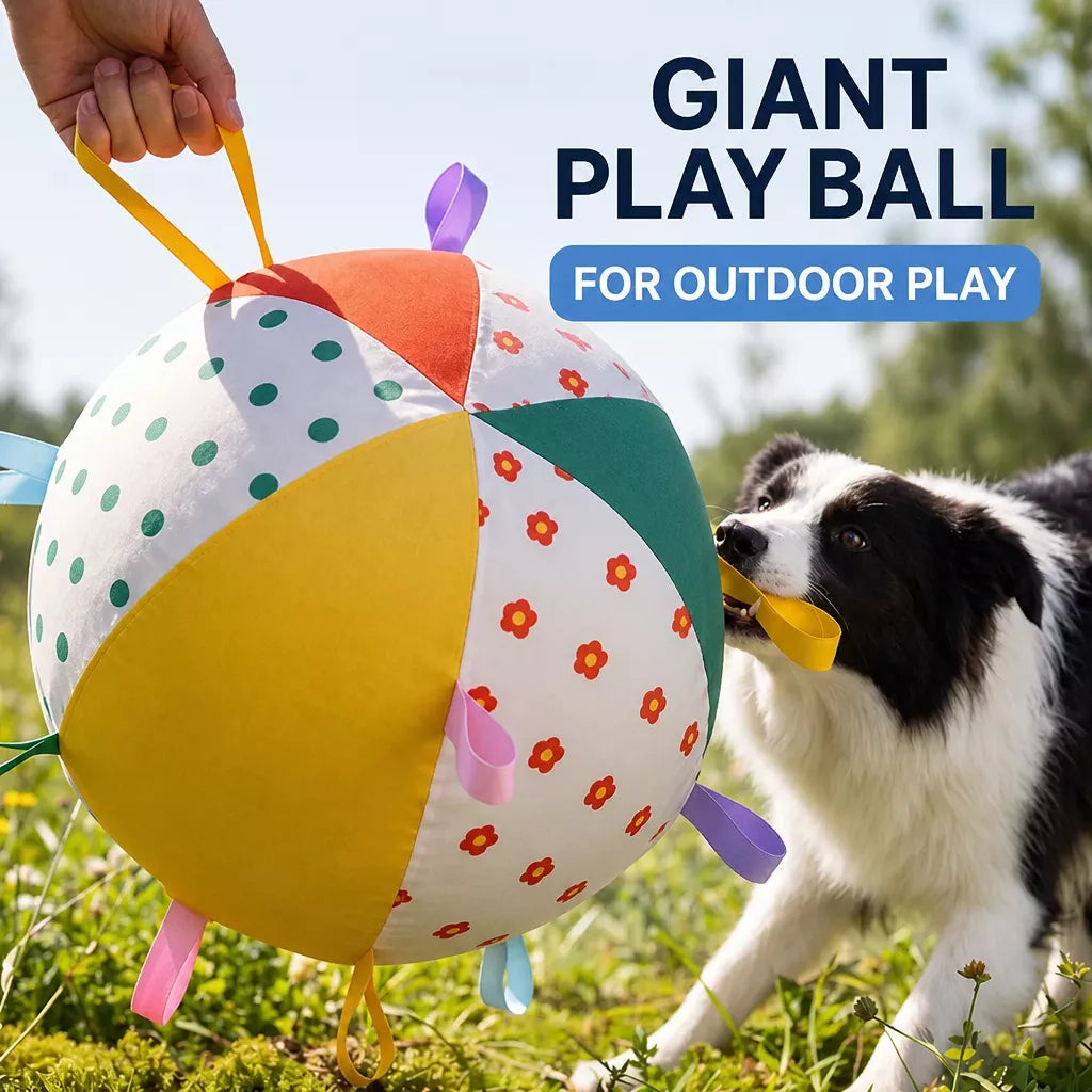 Oversized Interactive Dog Toy Ball for Medium & Large Dogs