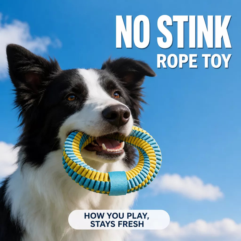 Knotted Nylon Dog Rope Tug Toy for Interactive Play