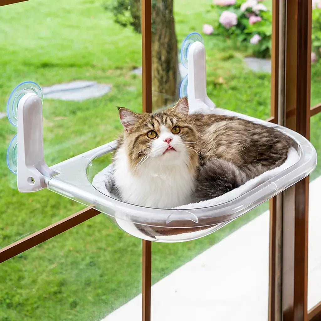 Foldable Transparent Cat Window Capsule Hammock