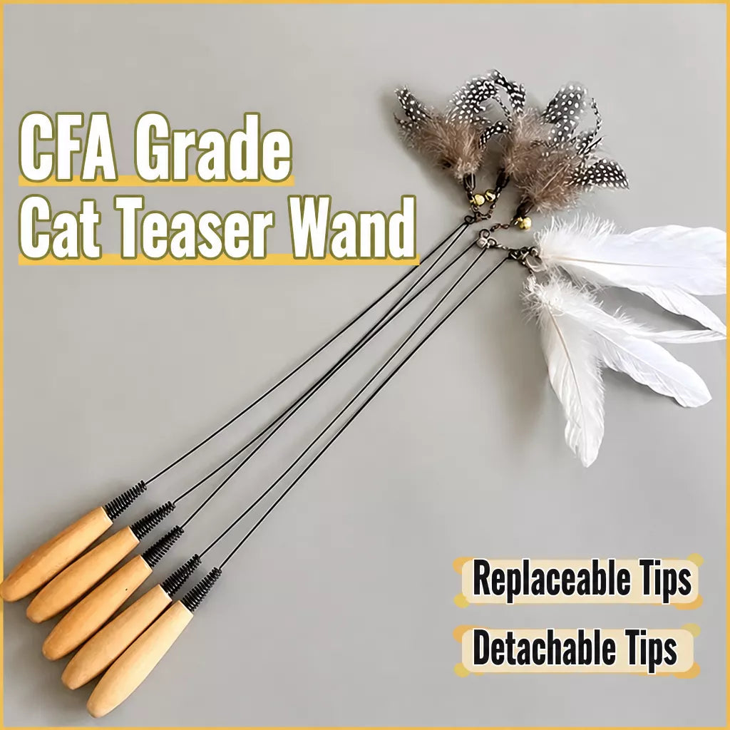 Wooden Cat Teaser Wand with Detachable Feather Bell Attachment