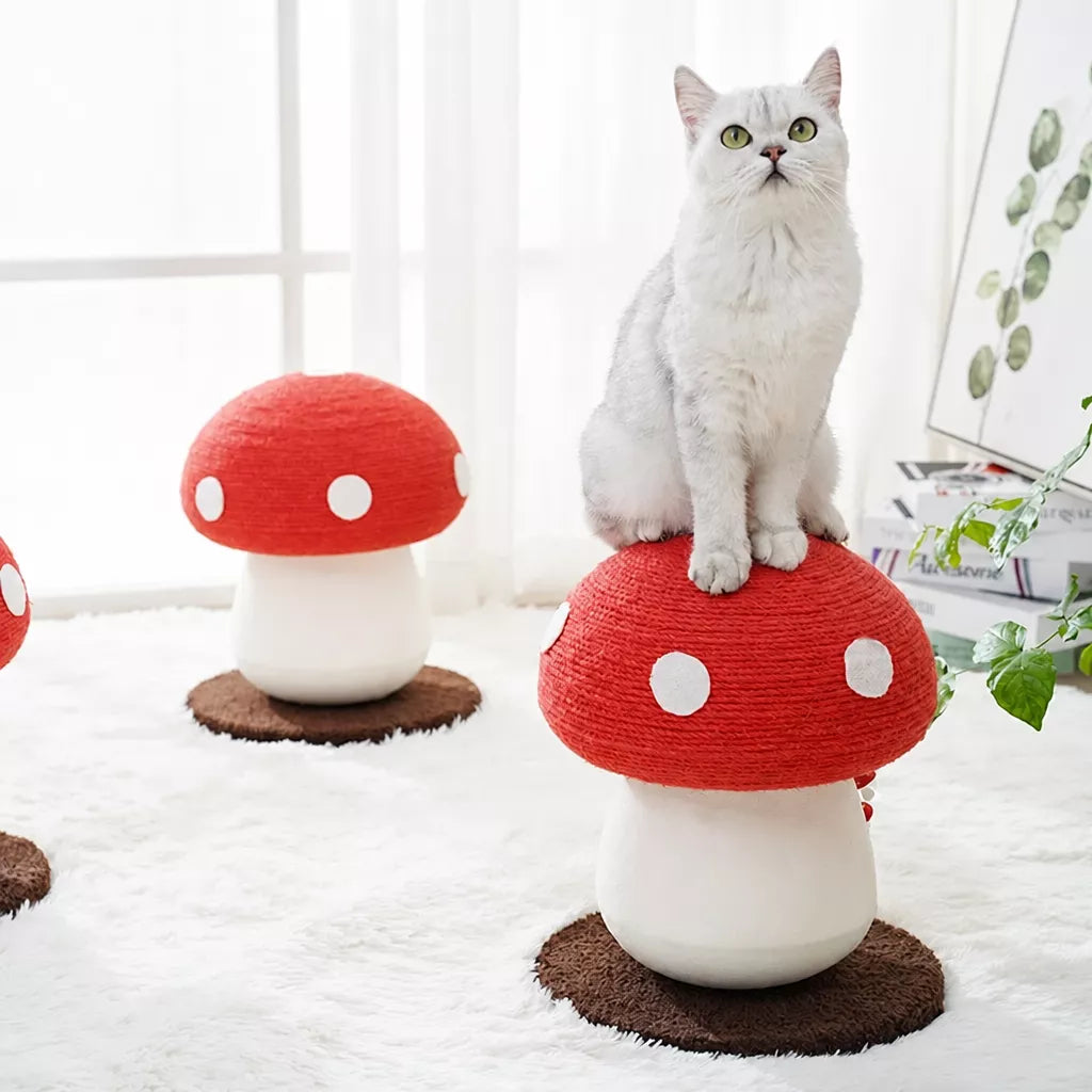 Mushroom Cat Scratching Post and Cat Toy