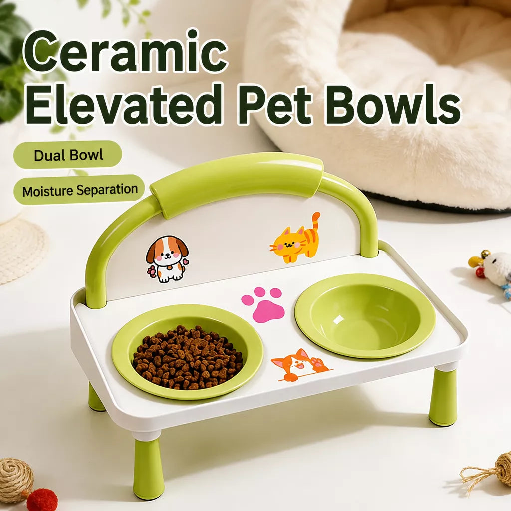 Elevated Ceramic Double Bowl Set for Cats & Dogs