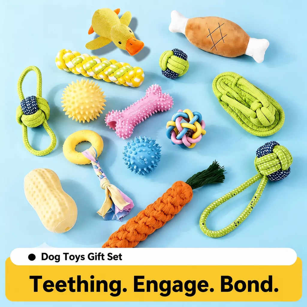 Squeaky Chew Toy Sets for Small Dogs