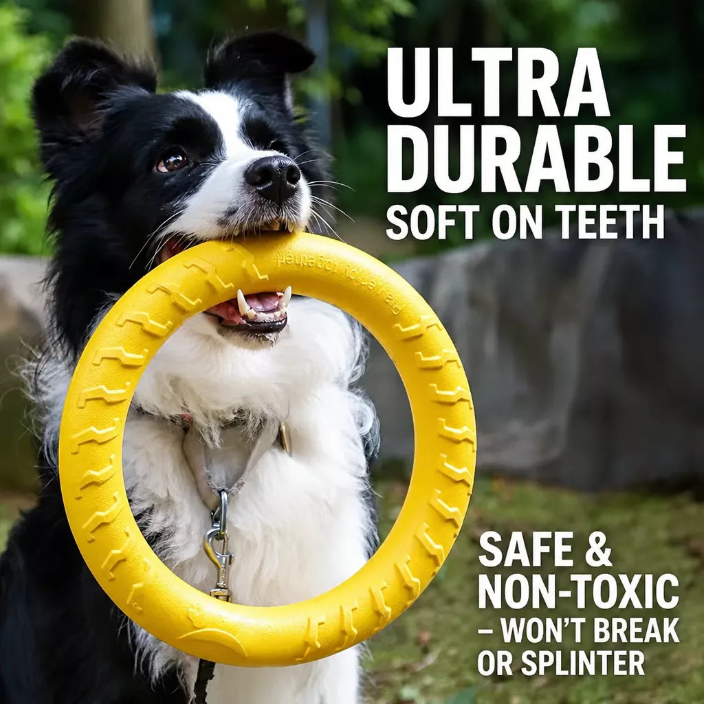 Interactive Dog Toy with Flying Disc, Tug Ring & Floating Ball