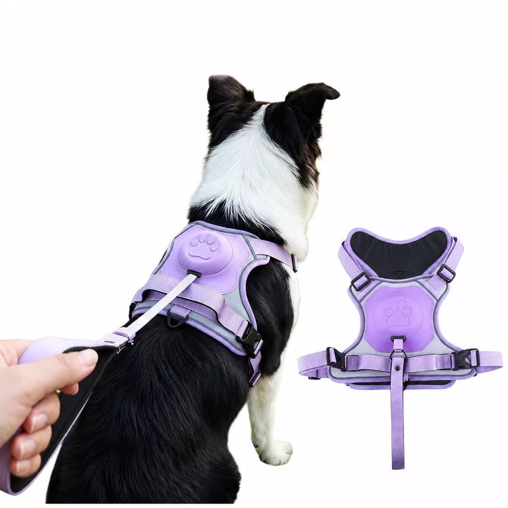 All-in-One Pet Vest Harness and Leash