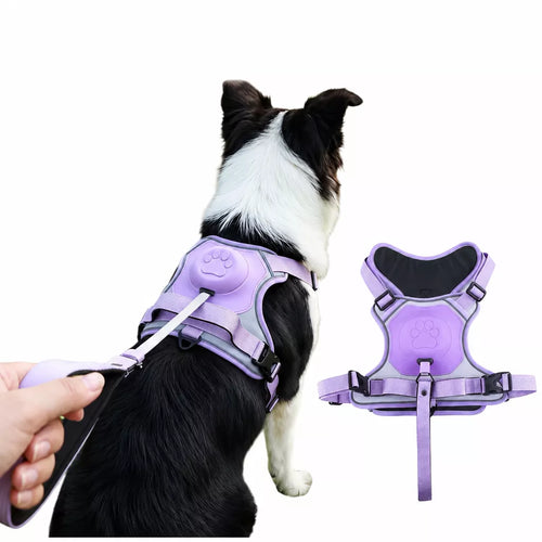 All-in-One Pet Vest Harness and Leash