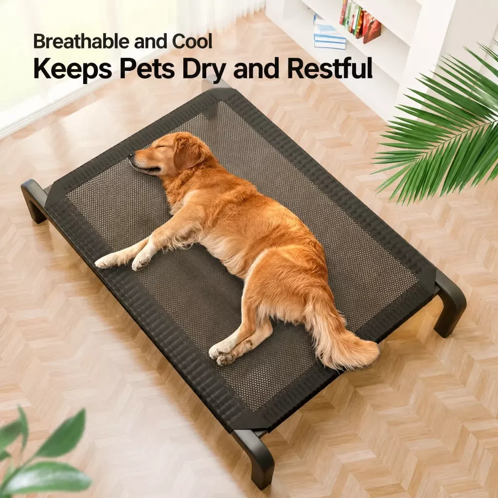 Elevated Mesh Dog Cot Bed