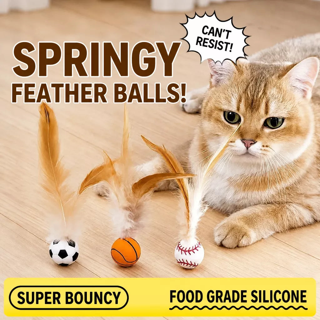 Cat Feather Ball Toy