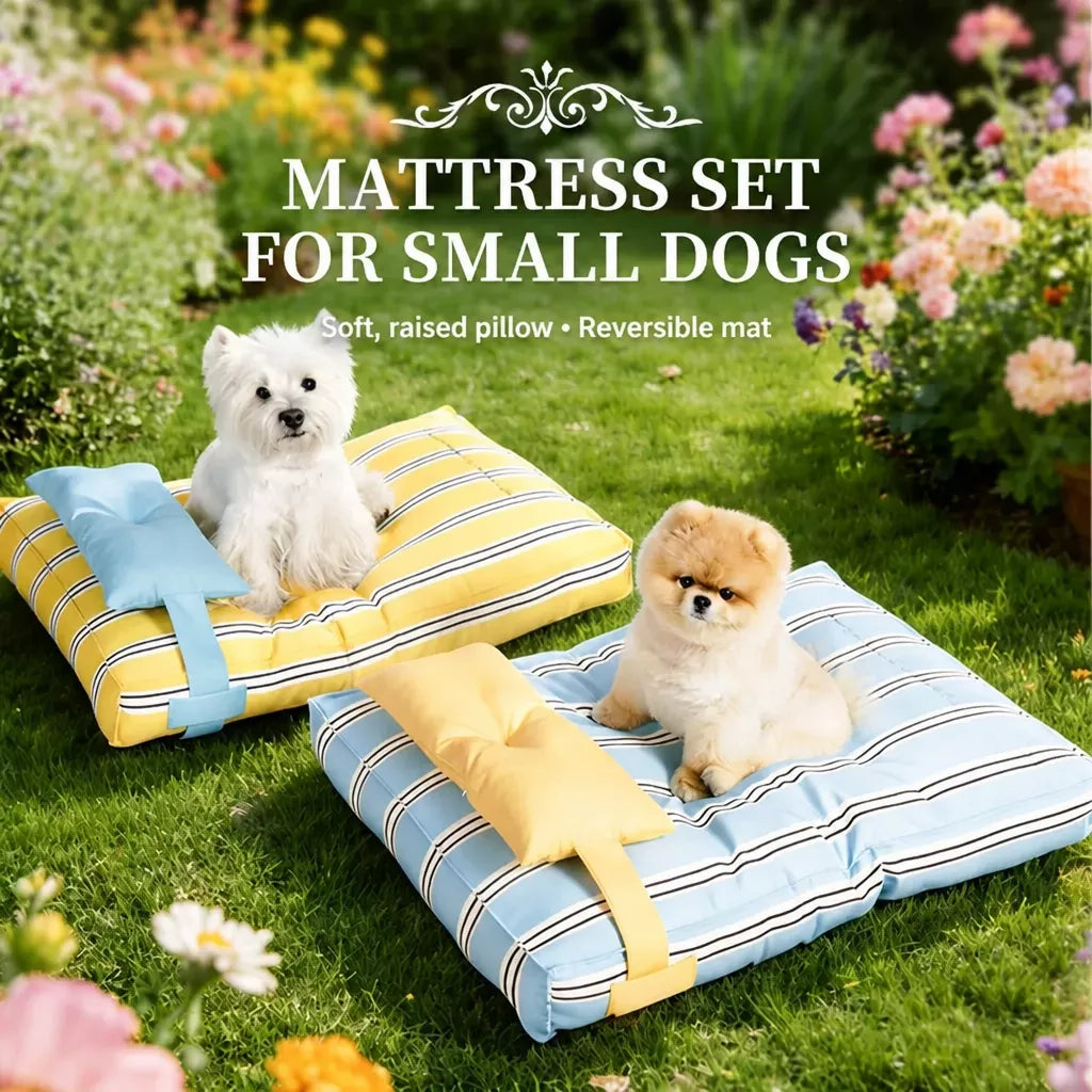 Removable Washable Pet Bed for Cats and Small to Medium Dogs
