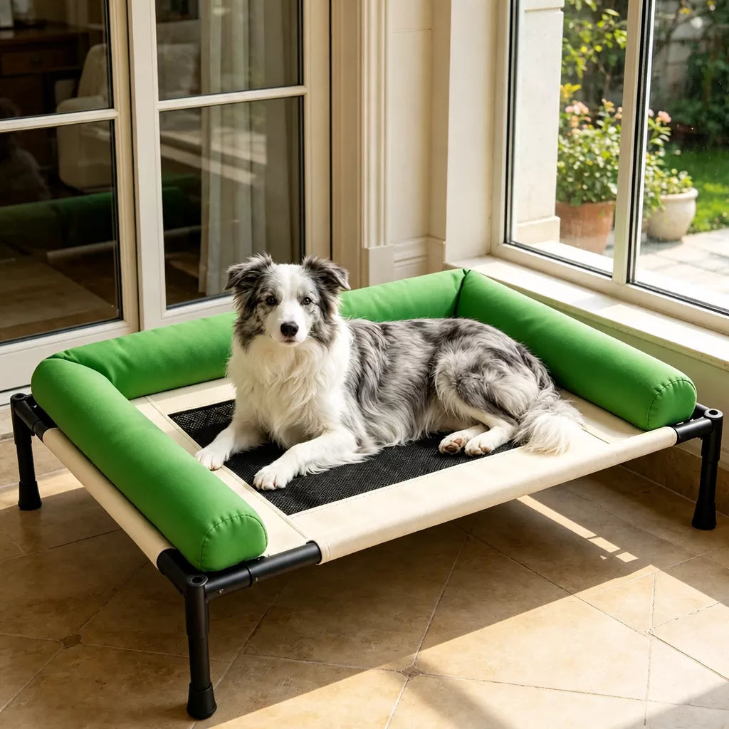 Elevated Pet Cot Bed with Removable Washable Cover