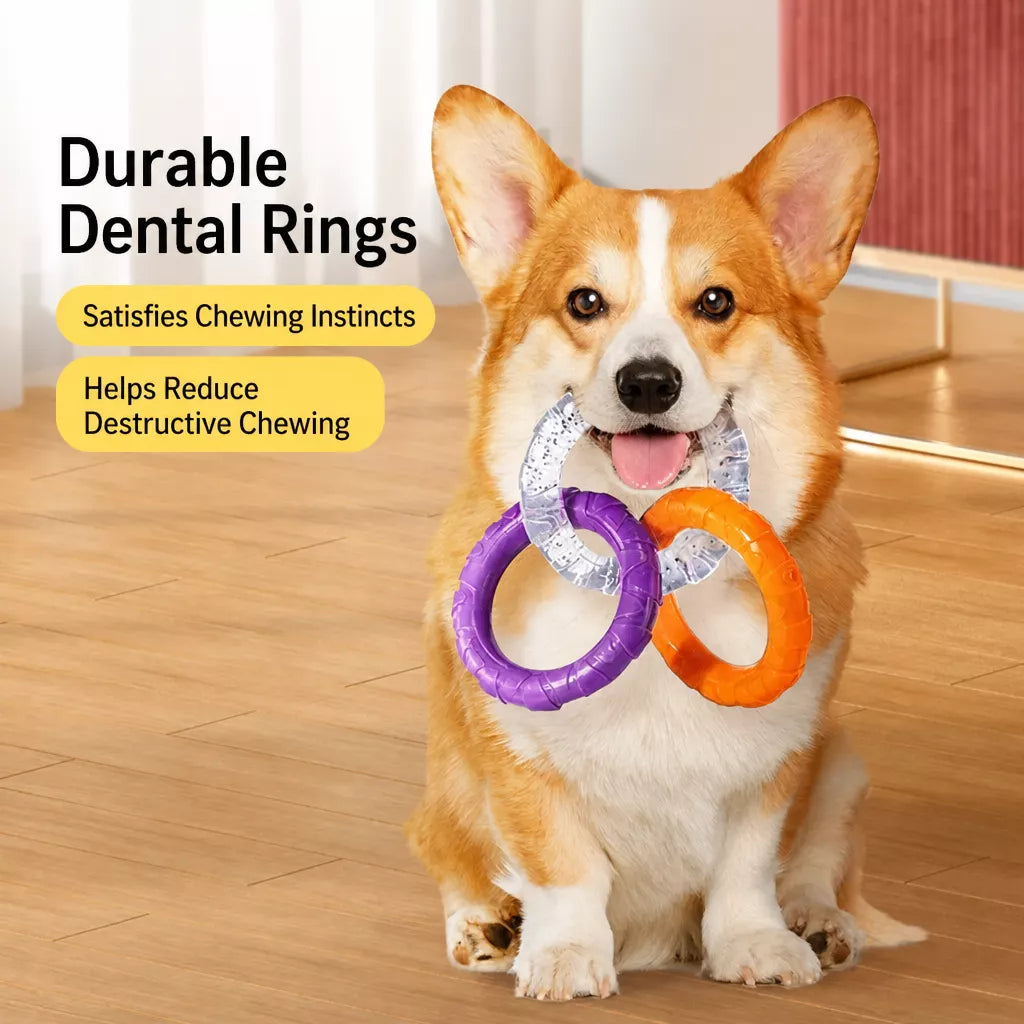 Dog Tug Ring Toy for Interactive Play