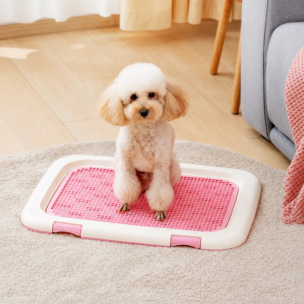 Plastic Dog Potty Tray with Grid for Indoor House Training