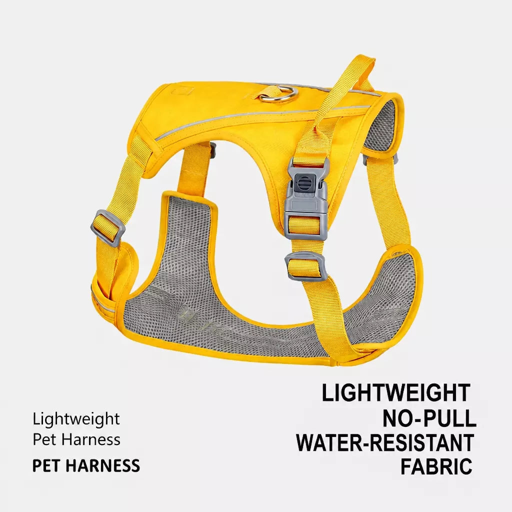 Lightweight Nylon Dog Harness and Leash Set